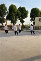 IMG_1551