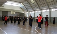 IMG_0257
