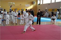 IMG_1641