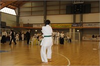 IMG_1194
