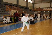 IMG_1224
