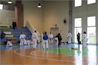 IMG_4191