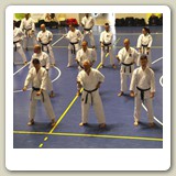 17016948_1766043670087968_7115273084232625406_o