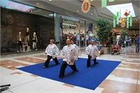 IMG_5439
