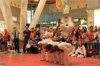 IMG_5786