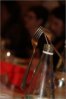 IMG_2031