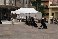 IMG_3674