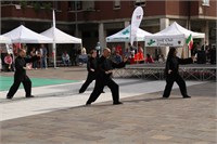 IMG_3741