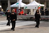 IMG_3742