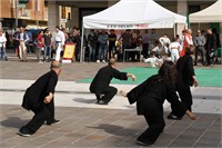 IMG_3757
