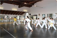 IMG_0619