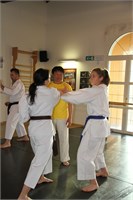 IMG_0741