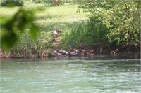 IMG_5348