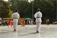 IMG_7757