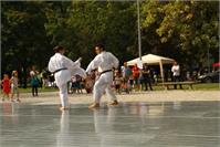 IMG_7775