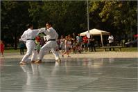 IMG_7778