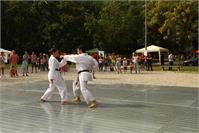 IMG_7785