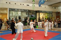 IMG_7956