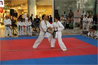 IMG_8008