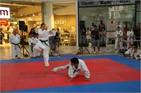 IMG_8012