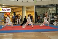 IMG_8049