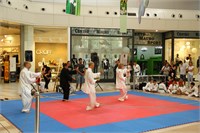 IMG_8064