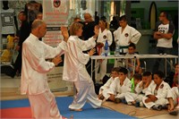 IMG_8087