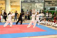 IMG_8102