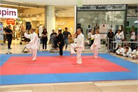 IMG_8105