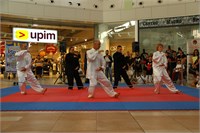 IMG_8228