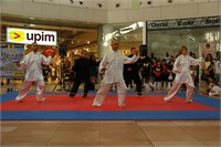 IMG_8229