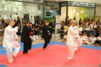 IMG_8237