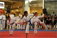 IMG_8308