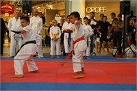 IMG_8332