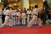 IMG_8354