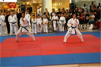 IMG_8378