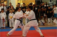 IMG_8387