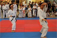 IMG_8394