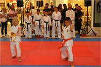 IMG_8473