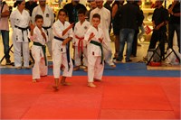IMG_8491