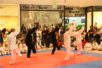 IMG_8572