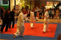 IMG_8600