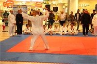 IMG_8621