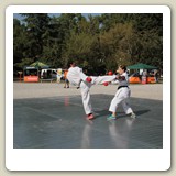 IMG_3225