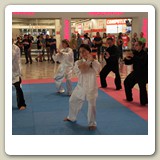 IMG_3668