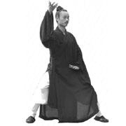 Monaco Tai Chi Wudang
