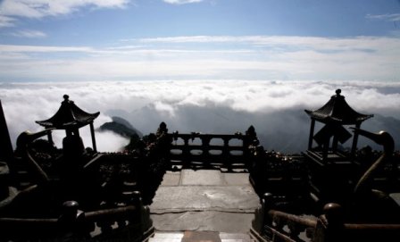 Wudang Logo